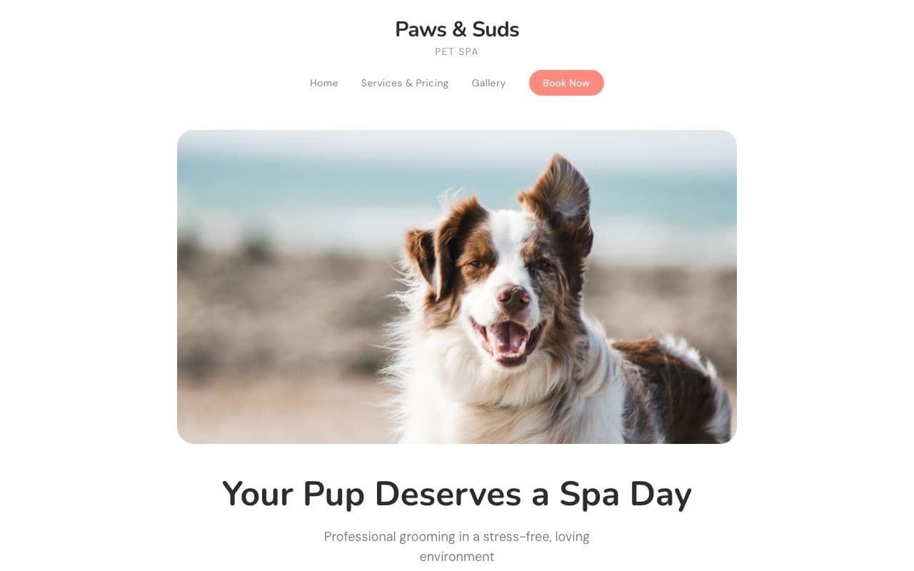 PAWS & SUDS PET SPA - Boutique pet grooming website